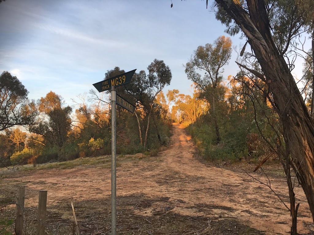 Mount Gawler Native Forest Reserve | park | Mount Gawler Rd, Kersbrook SA 5231, Australia | 0887242888 OR +61 8 8724 2888