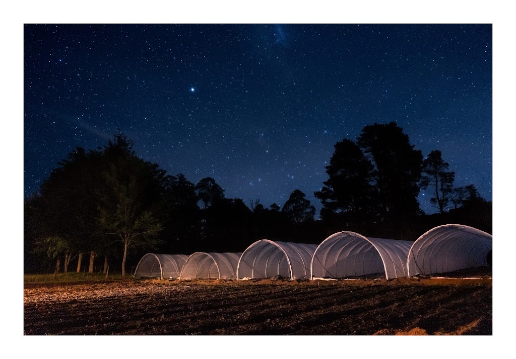 Five Tales Farm | 3525 Yarra Junction-Noojee Rd, Piedmont VIC 3833, Australia | Phone: 0466 979 331 Five Tales Farm | 3525 Yarra Junction-Noojee Rd, Piedmont VIC 3833, Australia | Phone: 0466 979 331