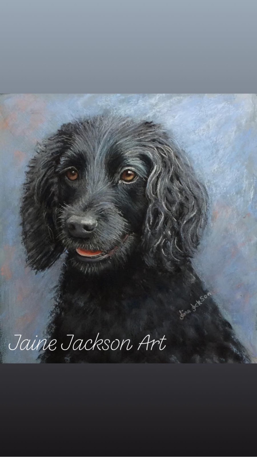 Jaine Jackson Art |  | 8 Lapis Ct, Southside QLD 4570, Australia | 0417788986 OR +61 417 788 986
