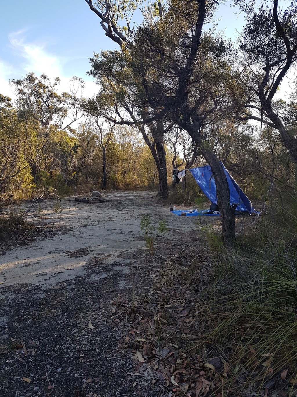 Tommos campsite | campground | Kariong NSW 2250, Australia