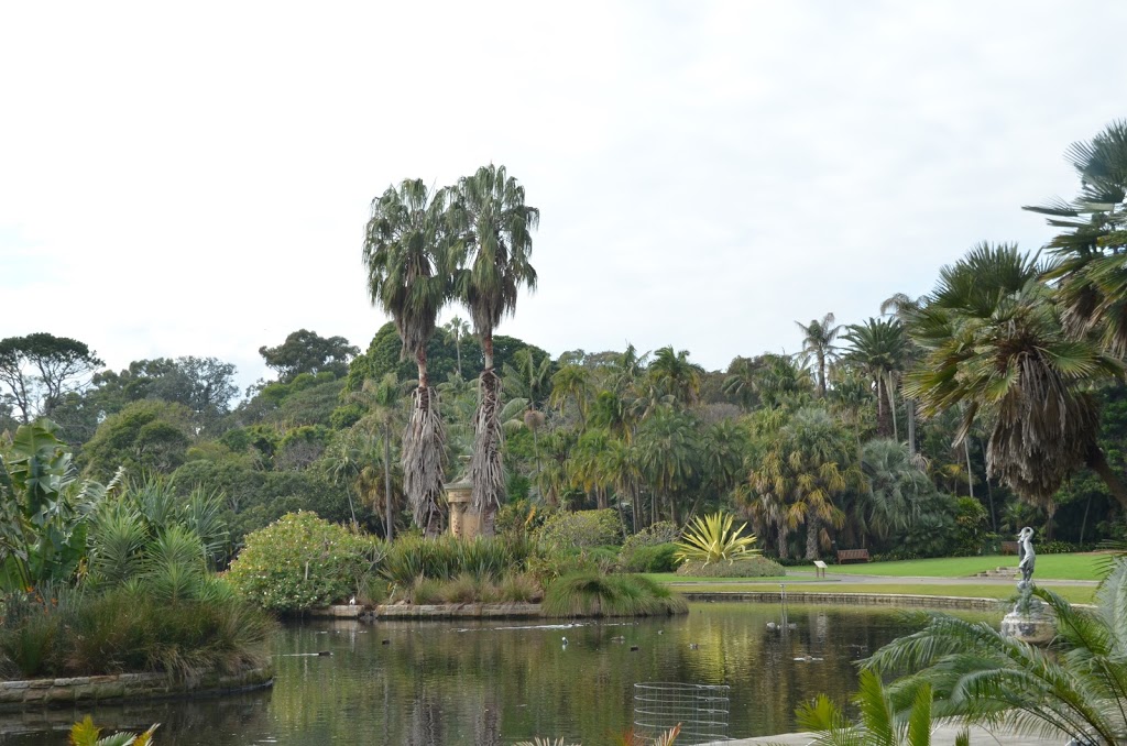 Oriental Garden | park | 4A Macquarie St, Sydney NSW 2000, Australia | 0292318111 OR +61 2 9231 8111