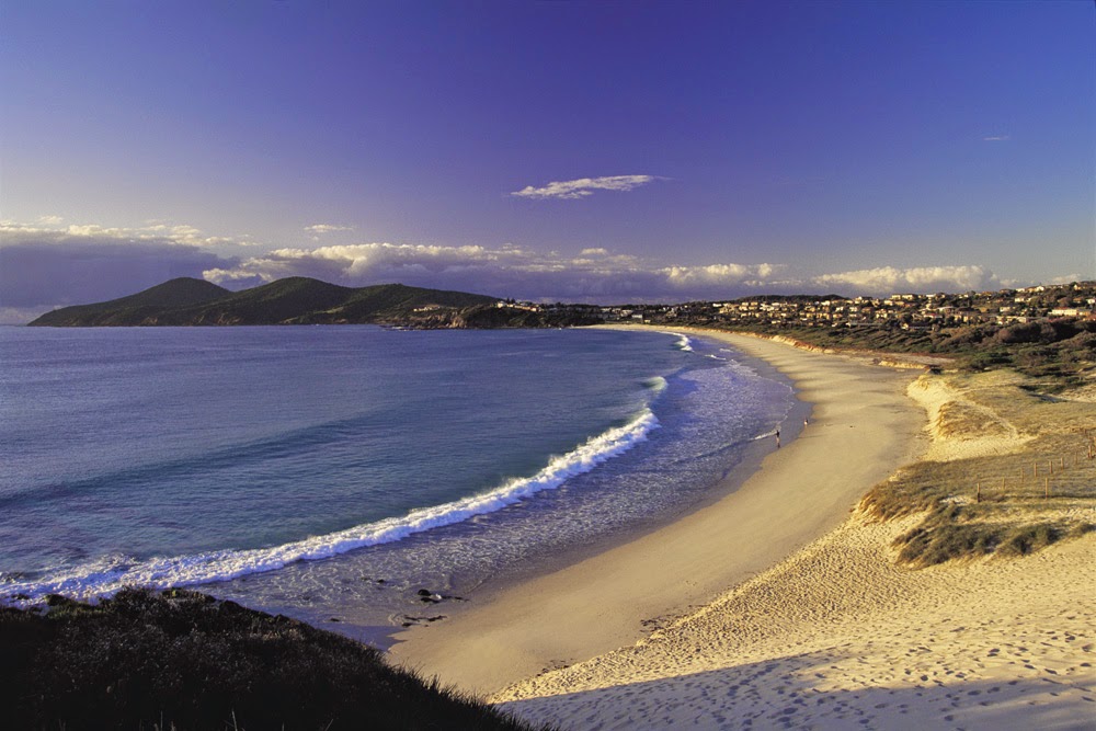 Seashells Beachfront Resort | campground | 363 Diamond Beach Rd, Diamond Beach NSW 2430, Australia | 0265592779 OR +61 2 6559 2779