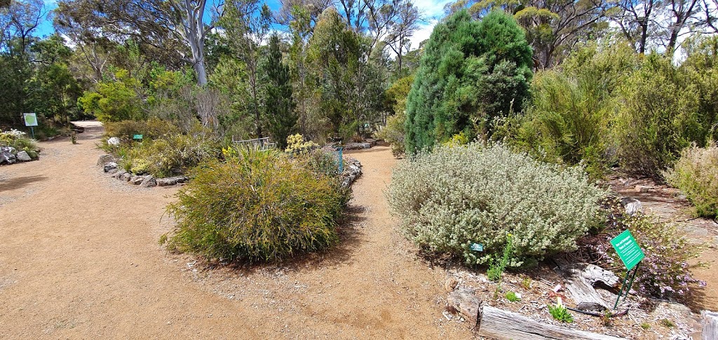 Tasmanian Bushland Garden | park | Tasman Hwy, Buckland TAS 7190, Australia