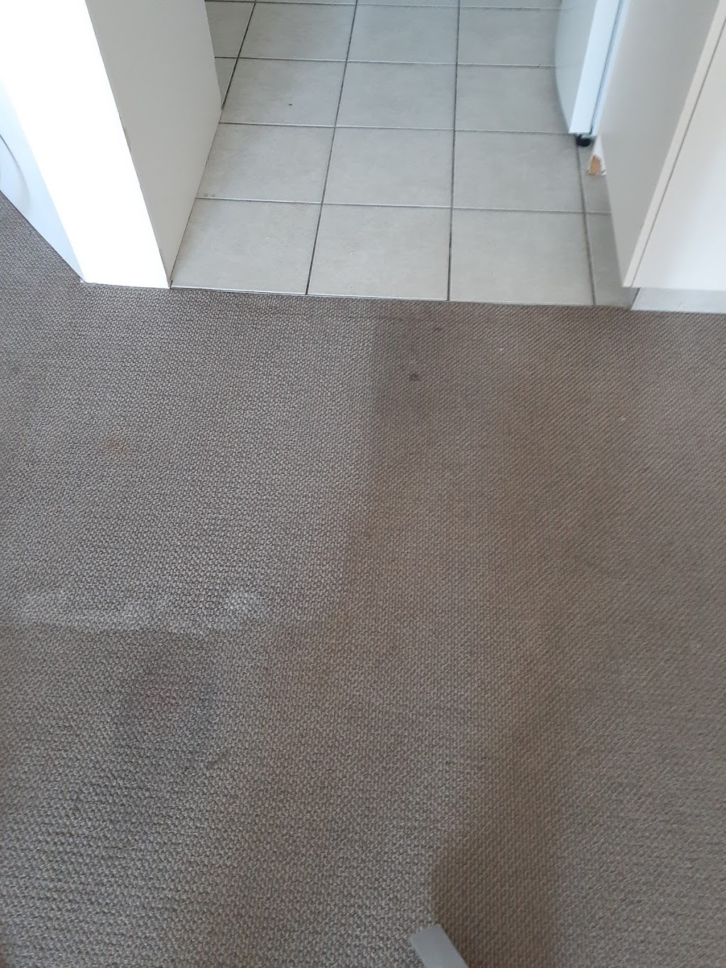 AAA Diamond Carpet Cleaning | laundry | 6 Lancashire Dr, Mudgeeraba QLD 4213, Australia | 0403256964 OR +61 403 256 964