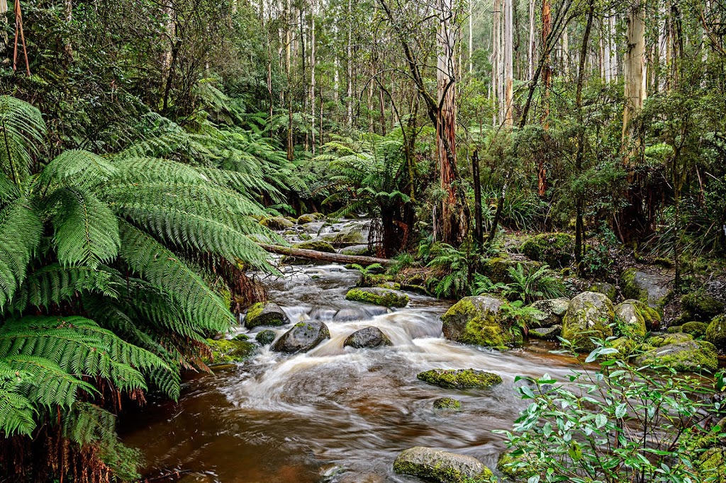 Steve Sheddick Photography | 123 Reservoir Rd, Sunbury VIC 3000, Australia | Phone: 0411 844 294