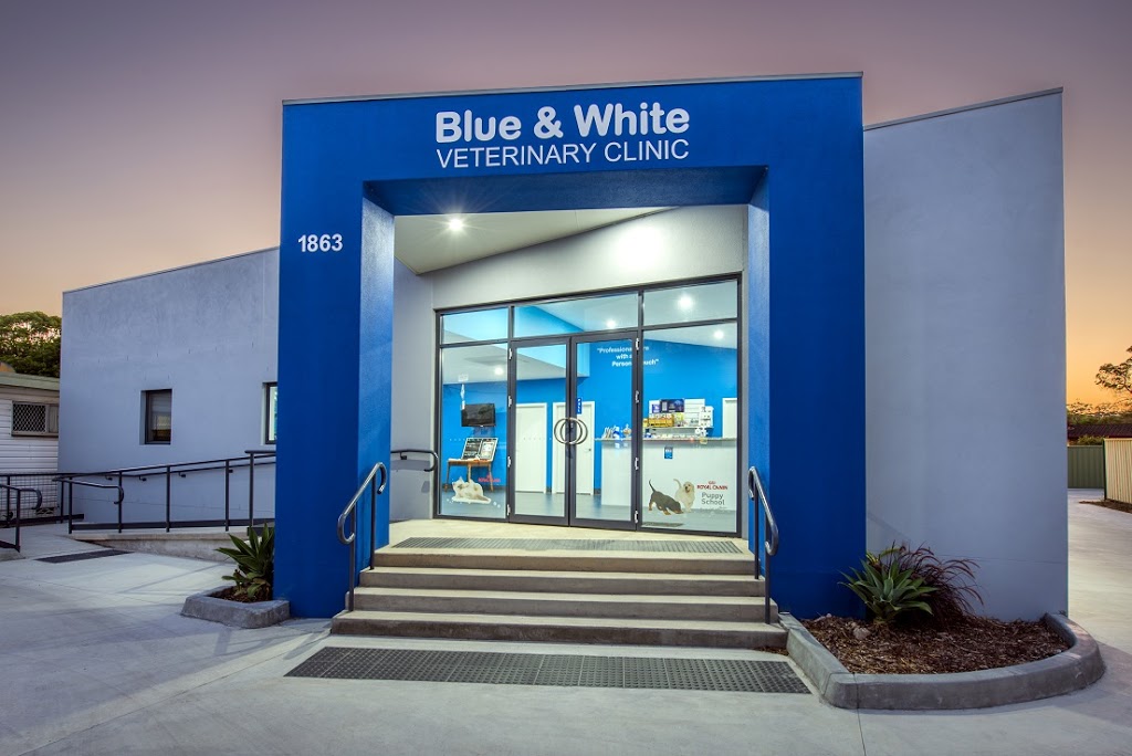 Blue and White Veterinary Surgery Woolgoolga | veterinary care | 1863 Solitary Islands Way, Woolgoolga NSW 2456, Australia | 0266542771 OR +61 2 6654 2771