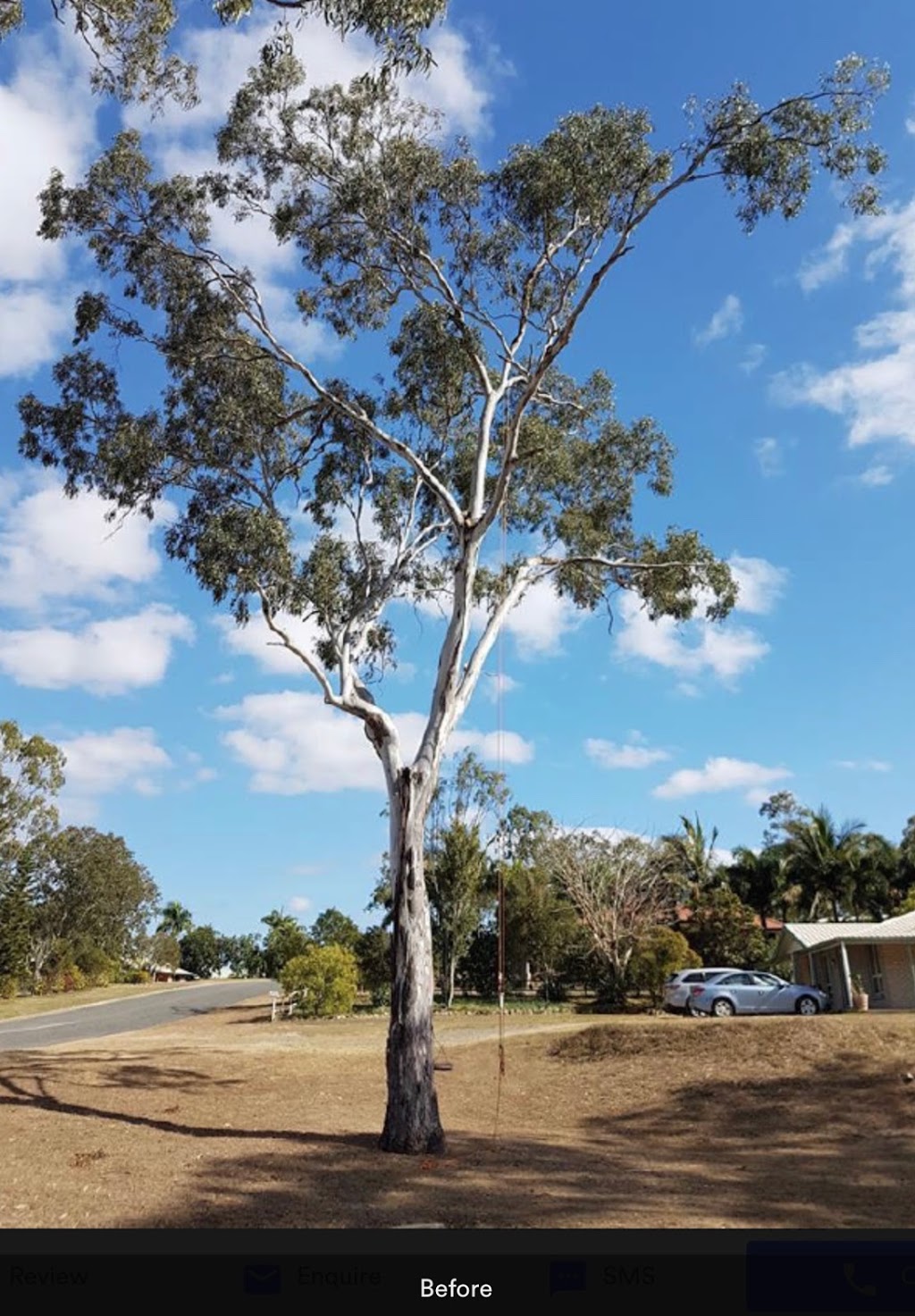 Barlows Tree Service | 1 Berserker St, Rockhampton QLD 4701, Australia | Phone: 0408 072 115