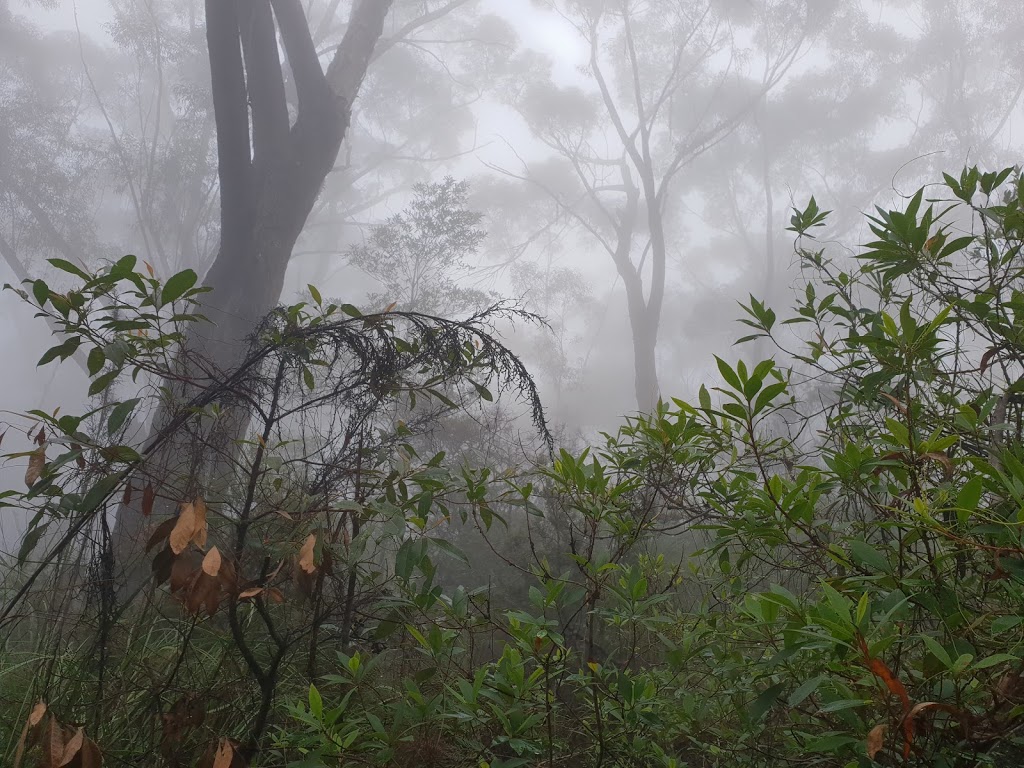 Corn Trail Walking Track Trail head | Old River Rd, Monga NSW 2622, Australia