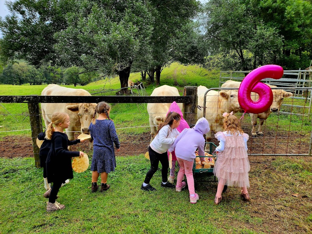 Unicorn and Teacups | 245 Little Jilliby Rd, Little Jilliby NSW 2259, Australia | Phone: 0403 273 251