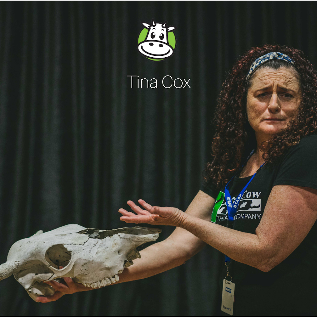 The Mad Cow Theatre Co | 13 Franklin Ave, Avoca Beach NSW 2251, Australia | Phone: (02) 4339 4064