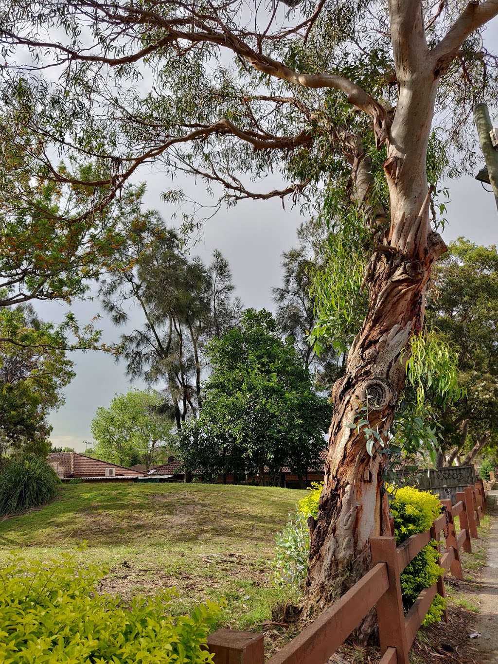 Lauriston Park | park | 39A Middlemiss St, Rosebery NSW 2018, Australia