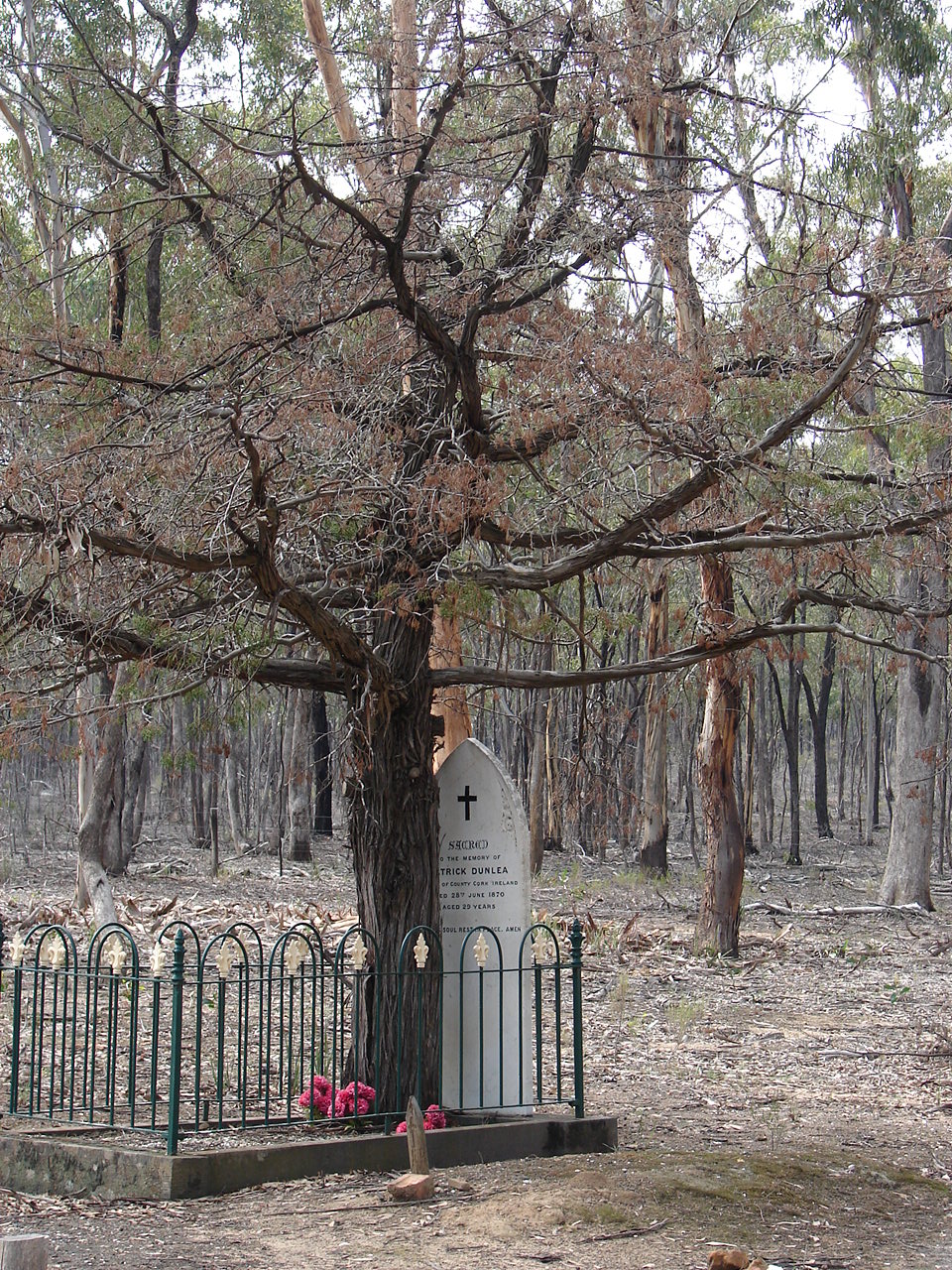 Graytown Cemetery Reserve | Graytown VIC 3608, Australia