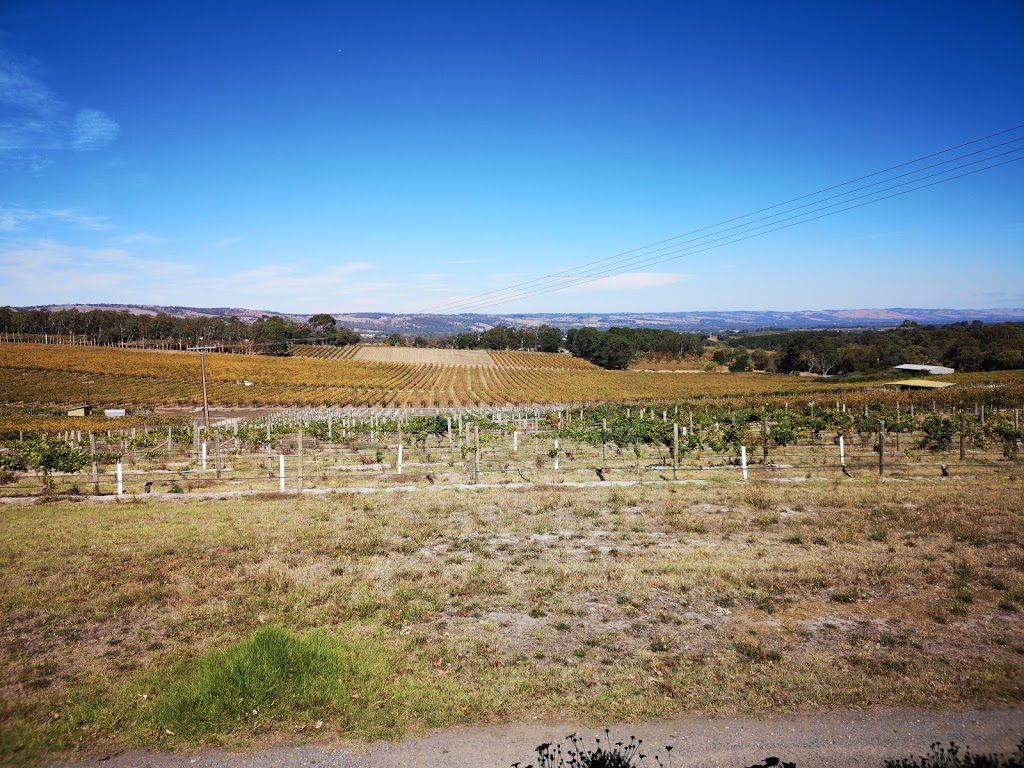 Jelka Wines | 164 Brookmans Rd, Blewitt Springs SA 5171, Australia | Phone: 0412 392 919