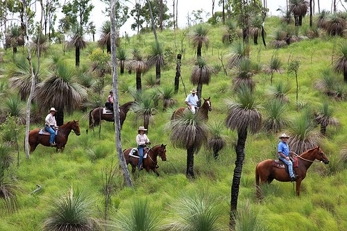 Equathon Horse Riding | travel agency | Esplanade, Noosa North Shore QLD 4565, Australia | 0754742665 OR +61 7 5474 2665