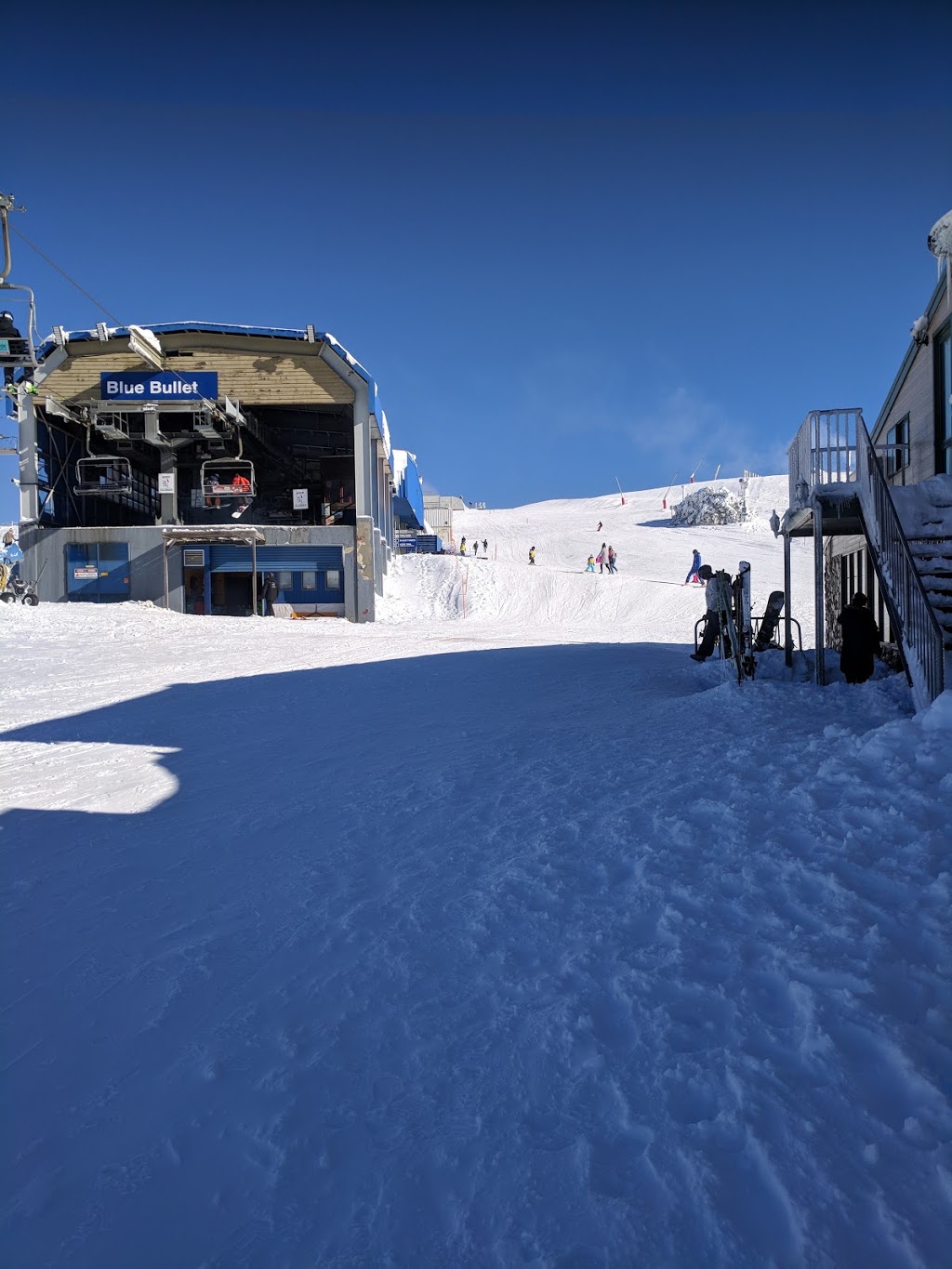Mansfield Mt.Buller Bus Lines | travel agency | 137 High St, Mansfield VIC 3722, Australia | 0357752606 OR +61 3 5775 2606