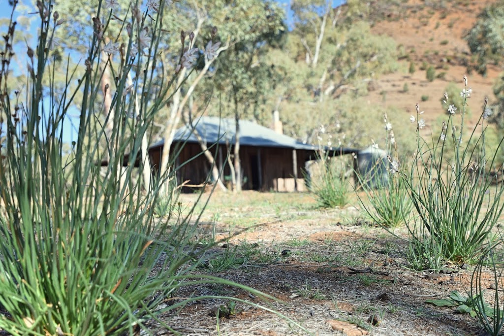 Nungawurtina Hut (Alpana Station) | campground | Unnamed Road, Alpana SA 5730, Australia