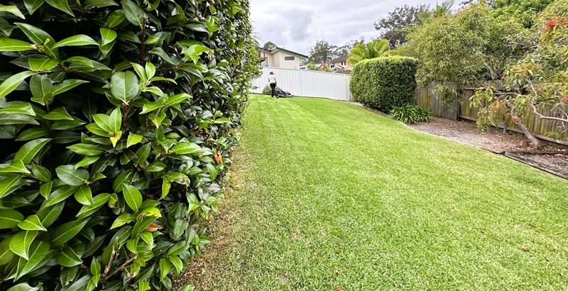 A Touch Of Nature Landscapes and Gardens | 27 Pineridge Cl, Lisarow NSW 2250, Australia | Phone: 0458 476 200