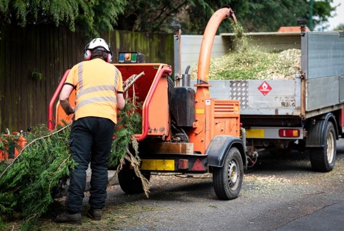 Morrisons Tree Service | 14 Gill Ave, Avoca Beach NSW 2251, Australia | Phone: (02) 4382 2057 Morrisons Tree Service | 14 Gill Ave, Avoca Beach NSW 2251, Australia | Phone: (02) 4382 2057