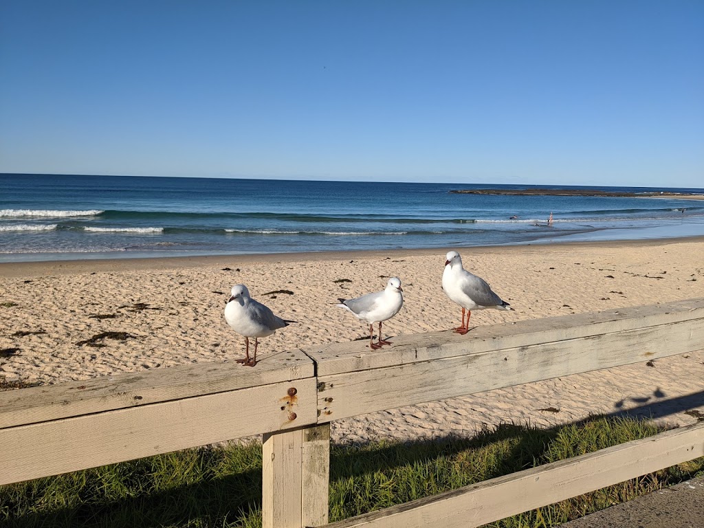 Mollymook Surf Life Saving Club | 83 Ocean St, Mollymook NSW 2539, Australia | Phone: (02) 4455 2725