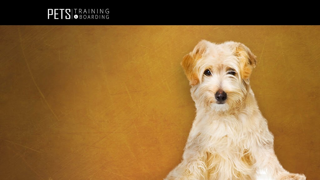 Pets Training & Boarding Sydney | 95 Sixth Rd, Berkshire Park NSW 2765, Australia | Phone: 1300 889 263