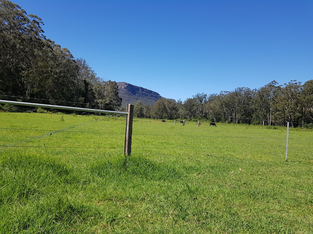 yadboro flats | campground | Western Distributor Rd, Yadboro NSW 2539, Australia