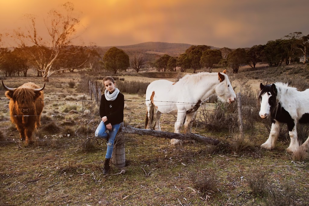 Beeba Photography | 325 Higgins Road, Greenlands NSW 2631, Australia | Phone: 0414 864 347