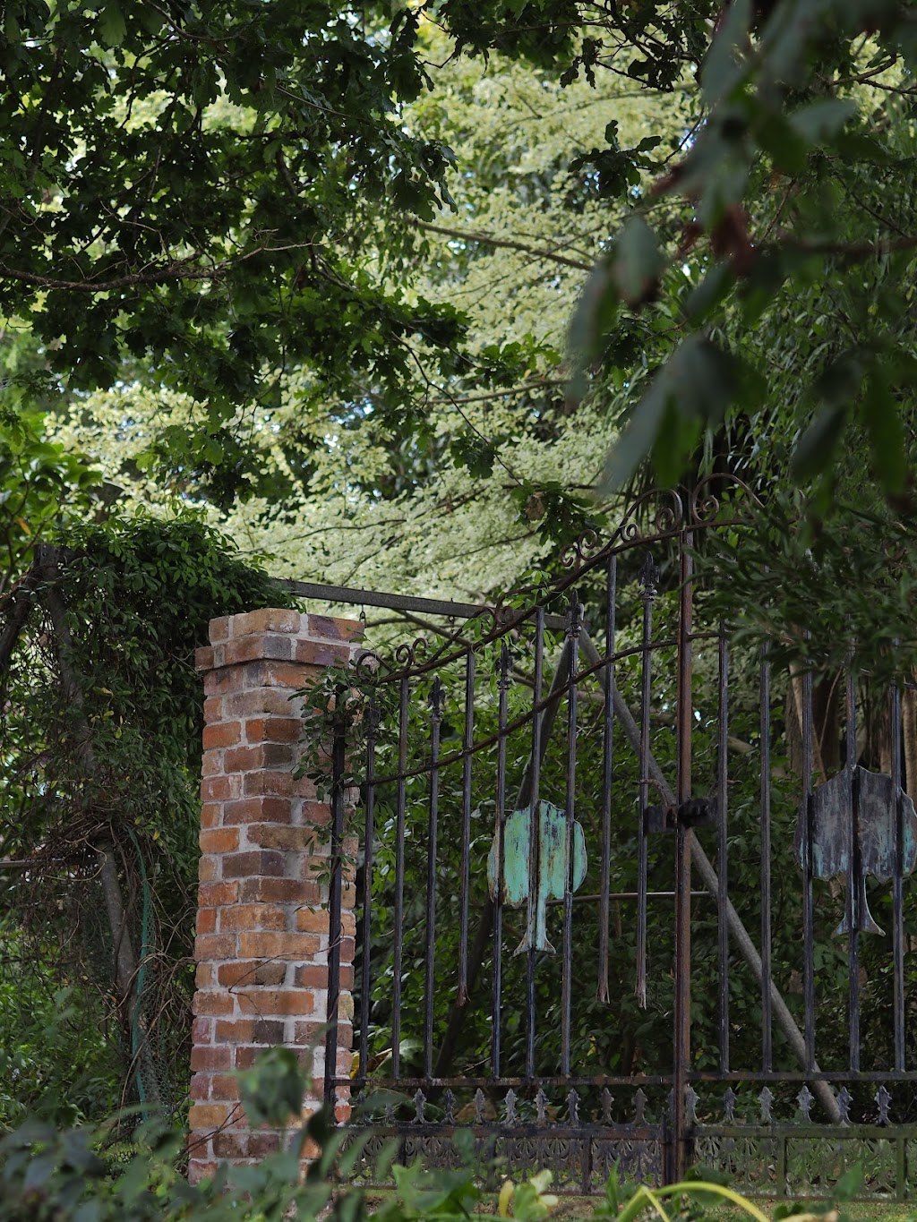 Panamona Landscape Design | 54 Squeaking Point Rd, Thirlstane TAS 7307, Australia | Phone: 0499 528 795