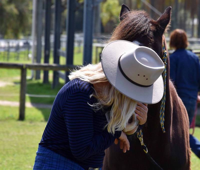 Equine Assisted Therapy Australia Pty Ltd RTO no 41482 | 309 Petsch Creek Rd, Tallebudgera Valley QLD 4228, Australia | Phone: 0404 787 162