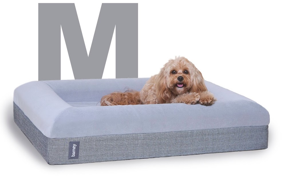 Barney Bed | pet store | 5 Campbell Parade, Bondi Beach NSW 2026, Australia | 1300295121 OR +61 1300 295 121