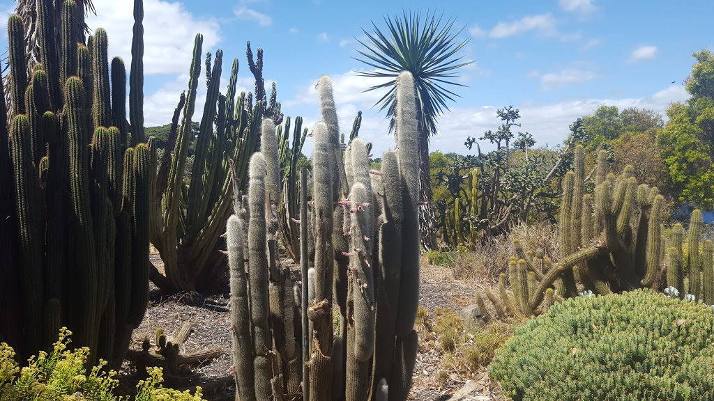 G.A Dodd Memorial Cactus Garden | Mount Gambier SA 5290, Australia