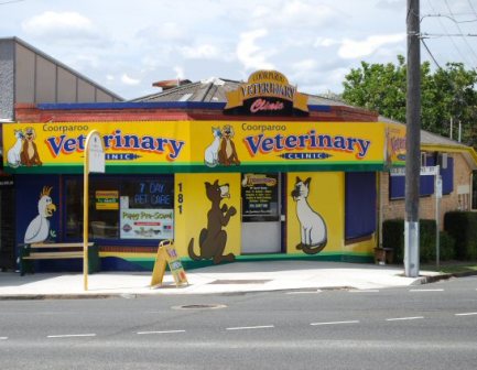 Coorparoo Veterinary Clinic | veterinary care | 181 Old Cleveland Rd, Coorparoo QLD 4151, Australia | 0733971181 OR +61 7 3397 1181