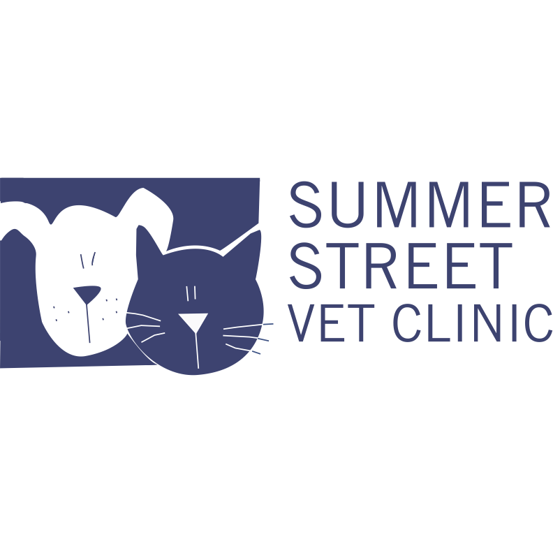 Summer Street Veterinary Clinic | veterinary care | 53 Summer St, Orange NSW 2800, Australia | 0263604553 OR +61 2 6360 4553