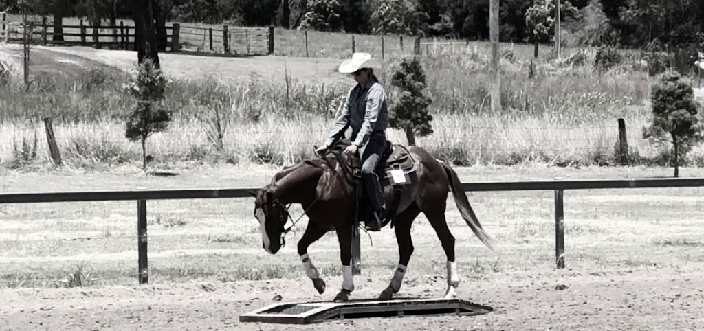 Nadia Ingerman Horsemanship | 351 Diggles Rd, Glengallan QLD 4370, Australia | Phone: 0499 289 392