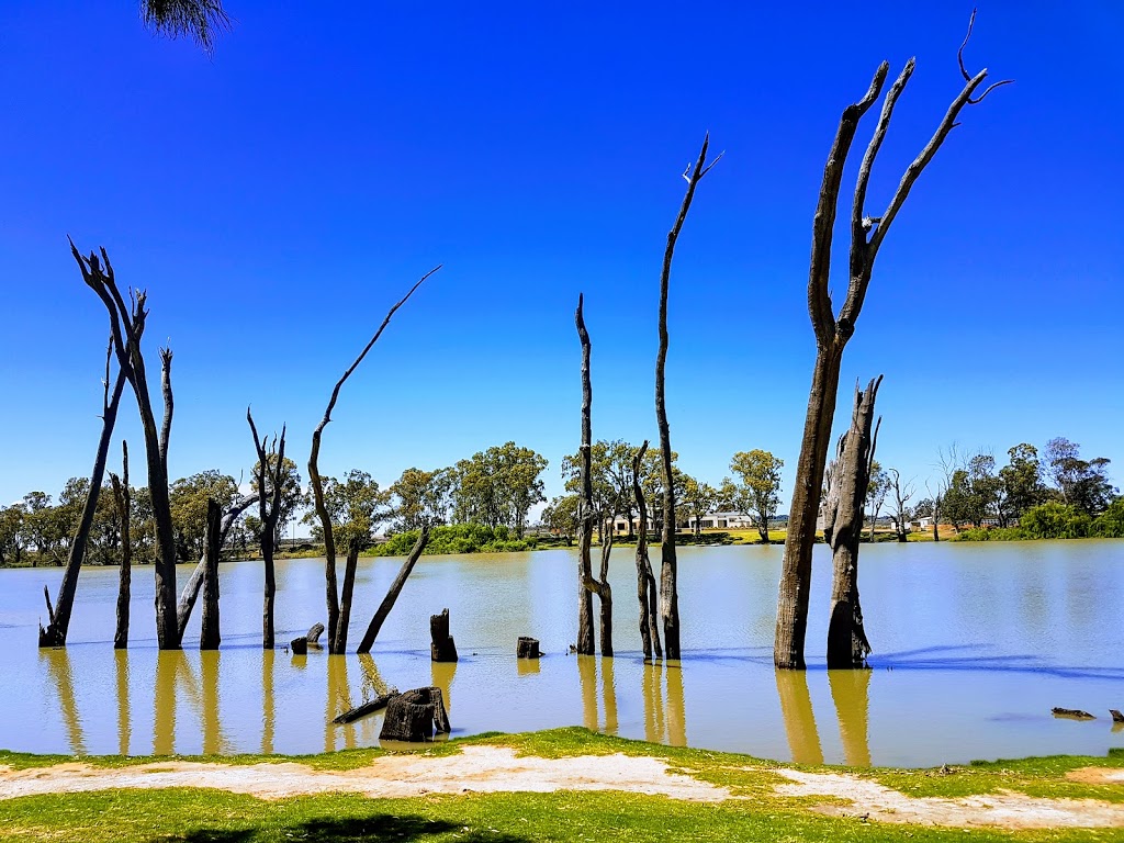 Berri Memorial Oval | park | Fiedler St, Berri SA 5343, Australia