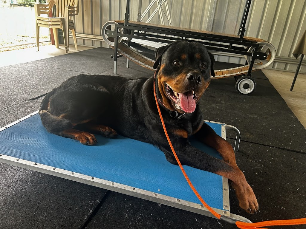 K9 360- Dog Training | 1202 Gatton Esk Rd, Spring Creek QLD 4343, Australia | Phone: 0461 293 894