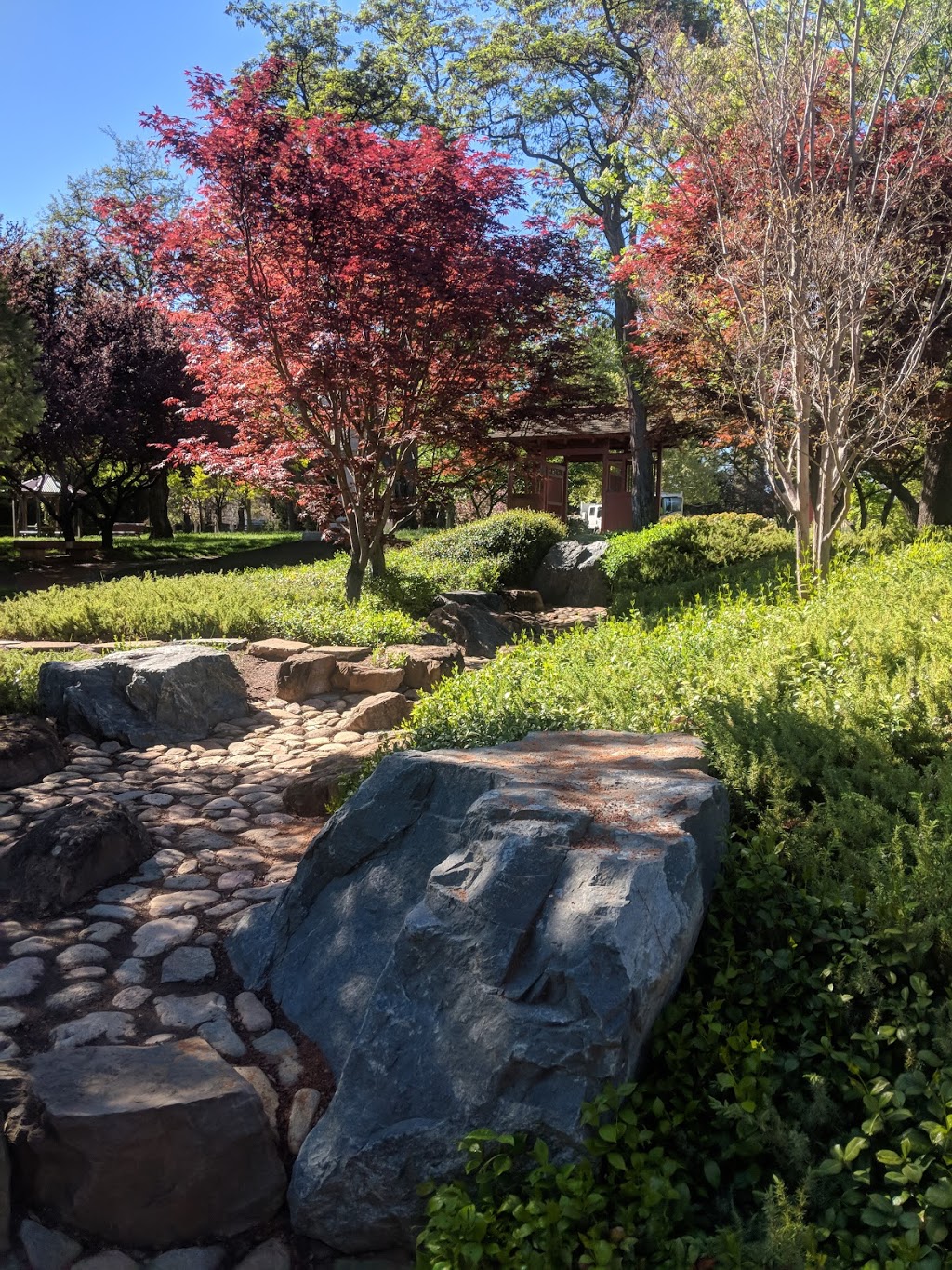 Beijing Garden | park | Yarralumla ACT 2600, Australia