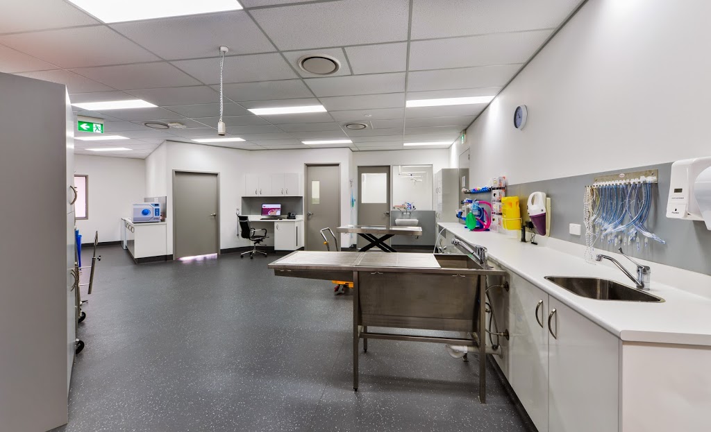 Bundaberg South Vet Clinic | veterinary care | 67 Walla St, Bundaberg South QLD 4670, Australia | 0741520009 OR +61 7 4152 0009
