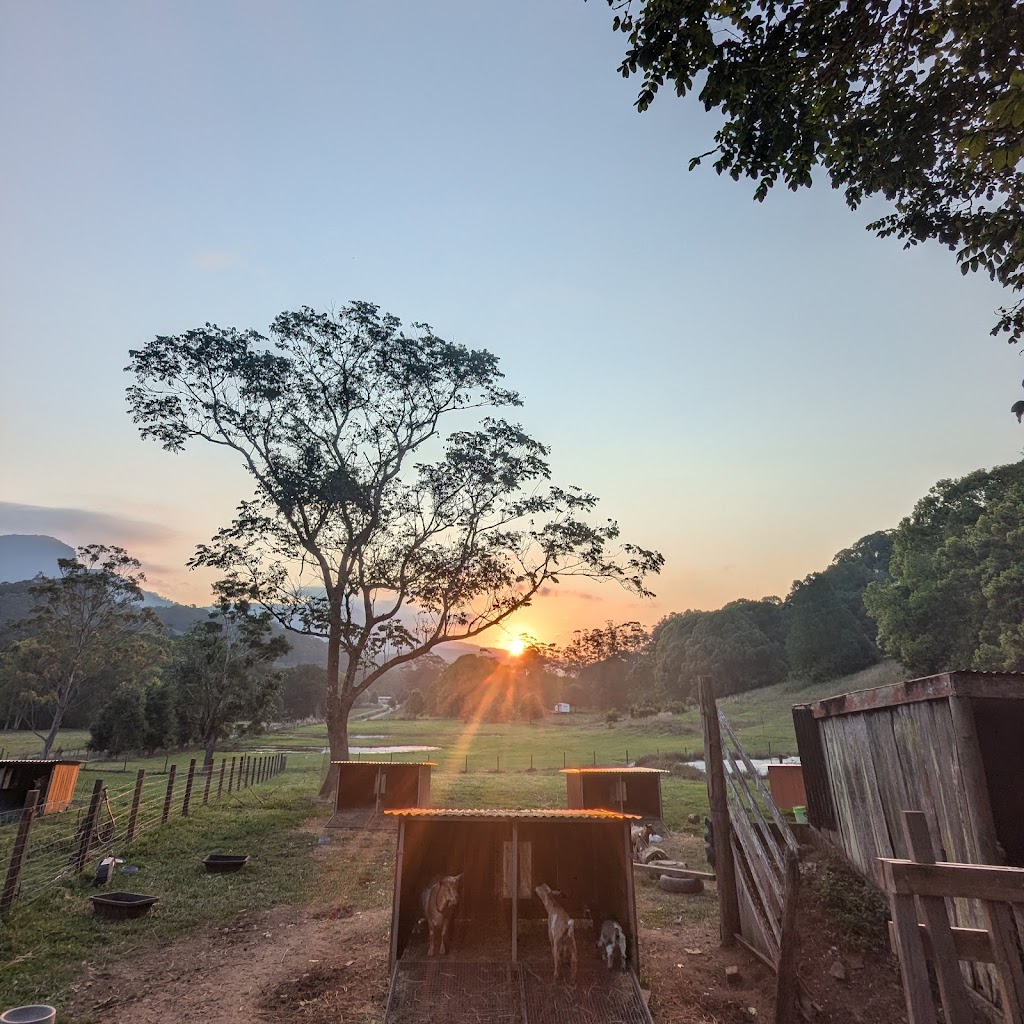 Zendara | 804 Main Arm Rd, Main Arm NSW 2482, Australia | Phone: 0415 998 956