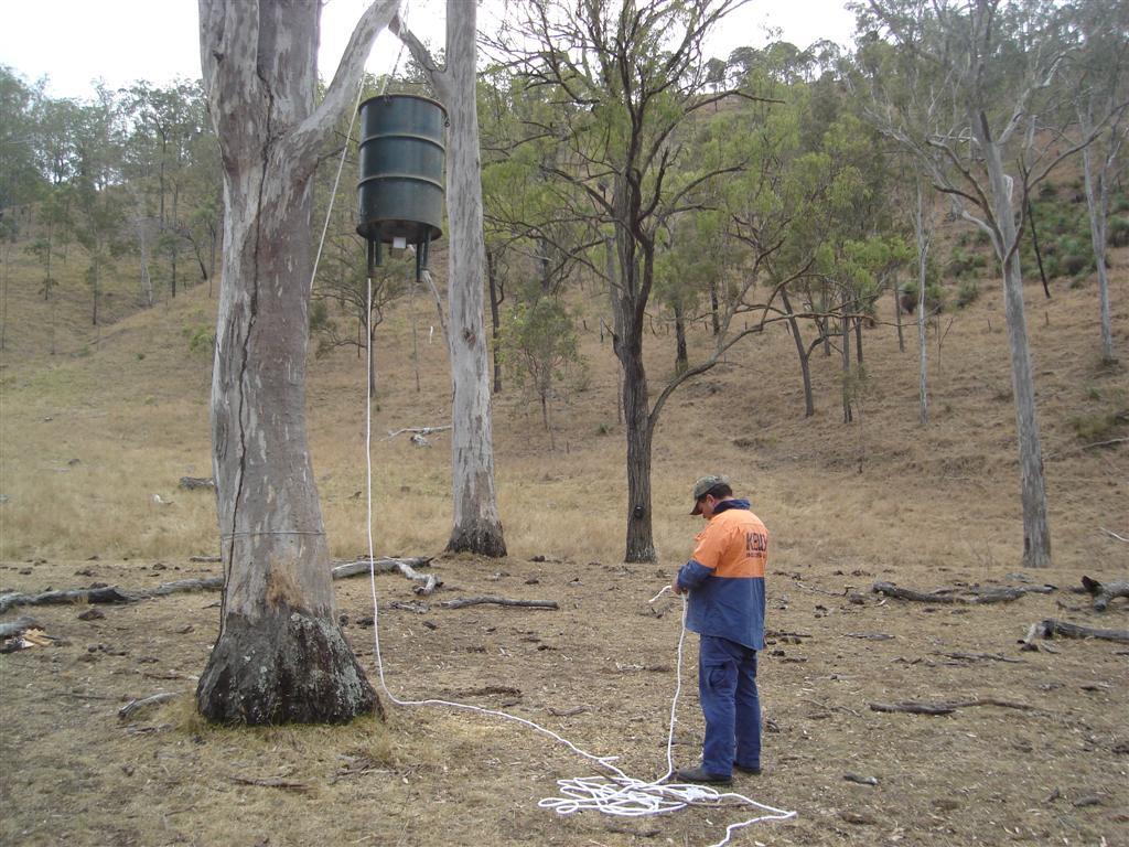 Queensland Deer Management Group, Australian Deer Association | 75 Roderick St, Cornubia QLD 4130, Australia | Phone: (07) 3806 1488