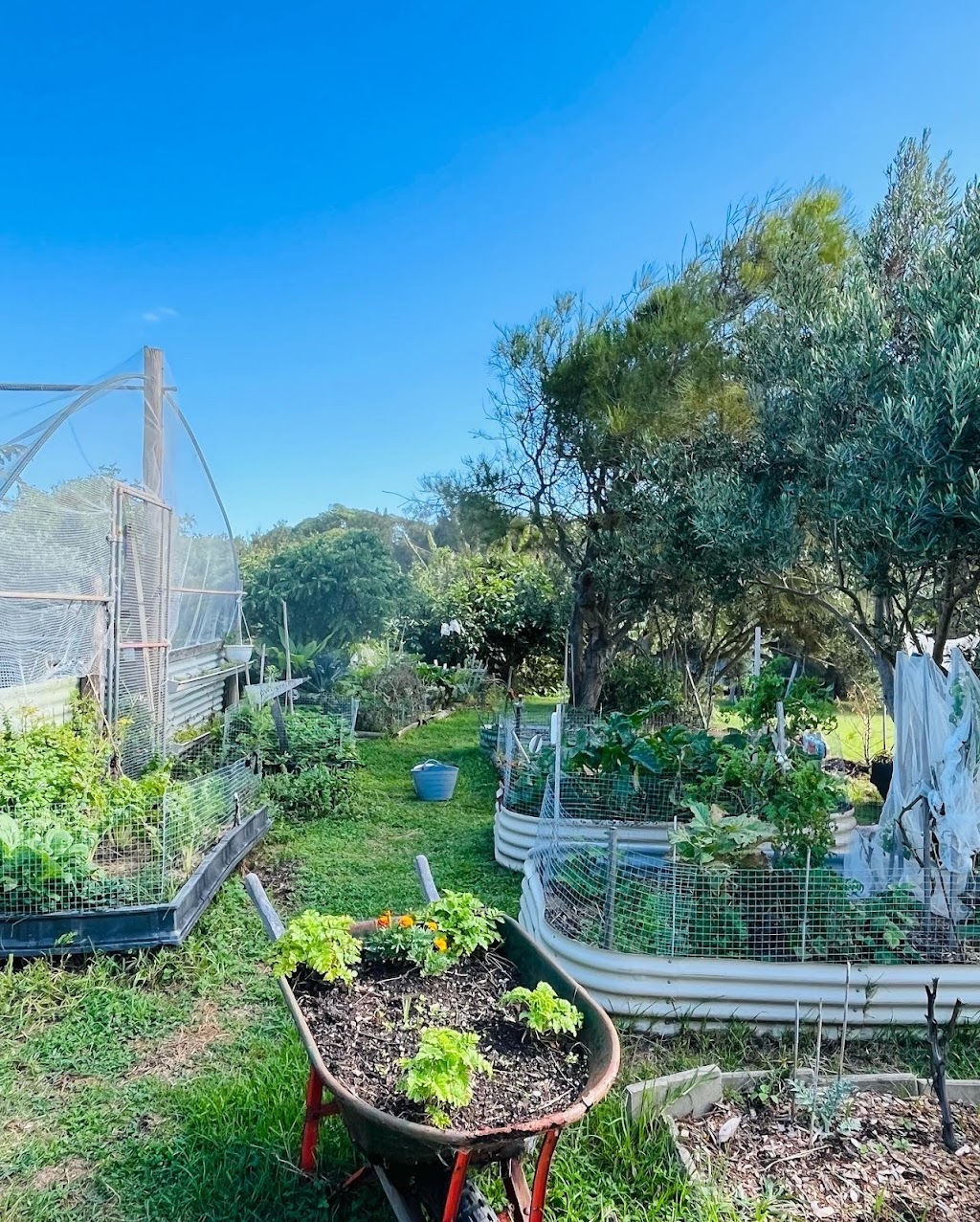 Surplus Studio – Permaculture Design | 2 Milga Rd, Avalon Beach NSW 2107, Australia | Phone: 0435 743 774