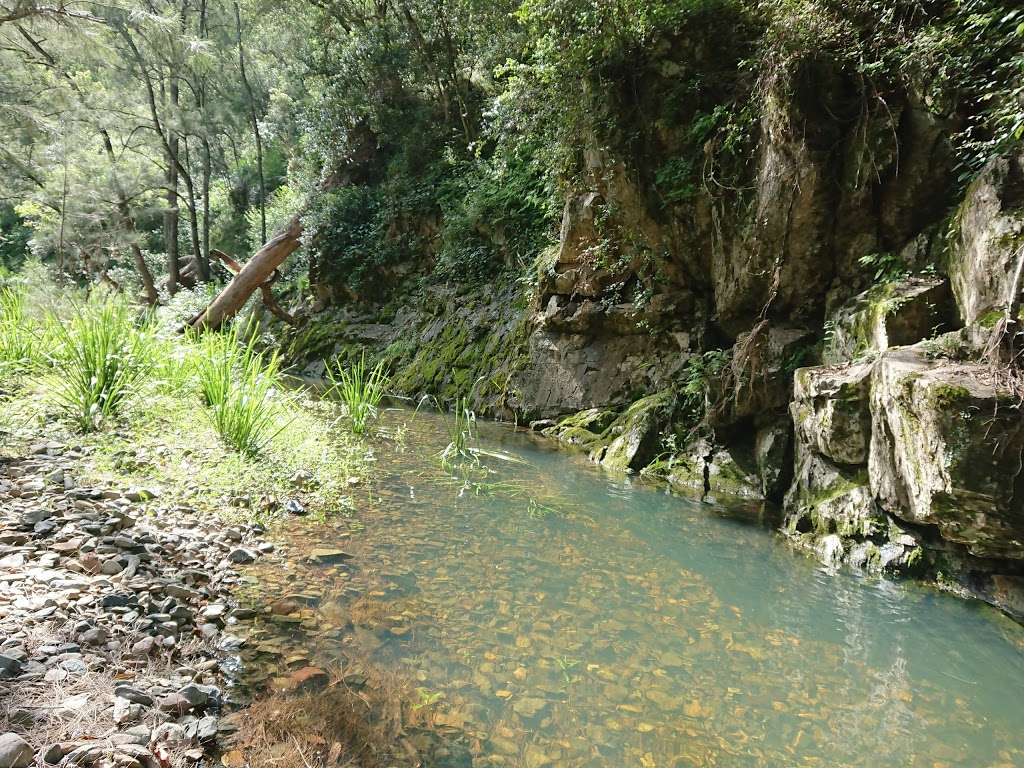 Chaelundi National Park | Chaelundi NSW 2460, Australia