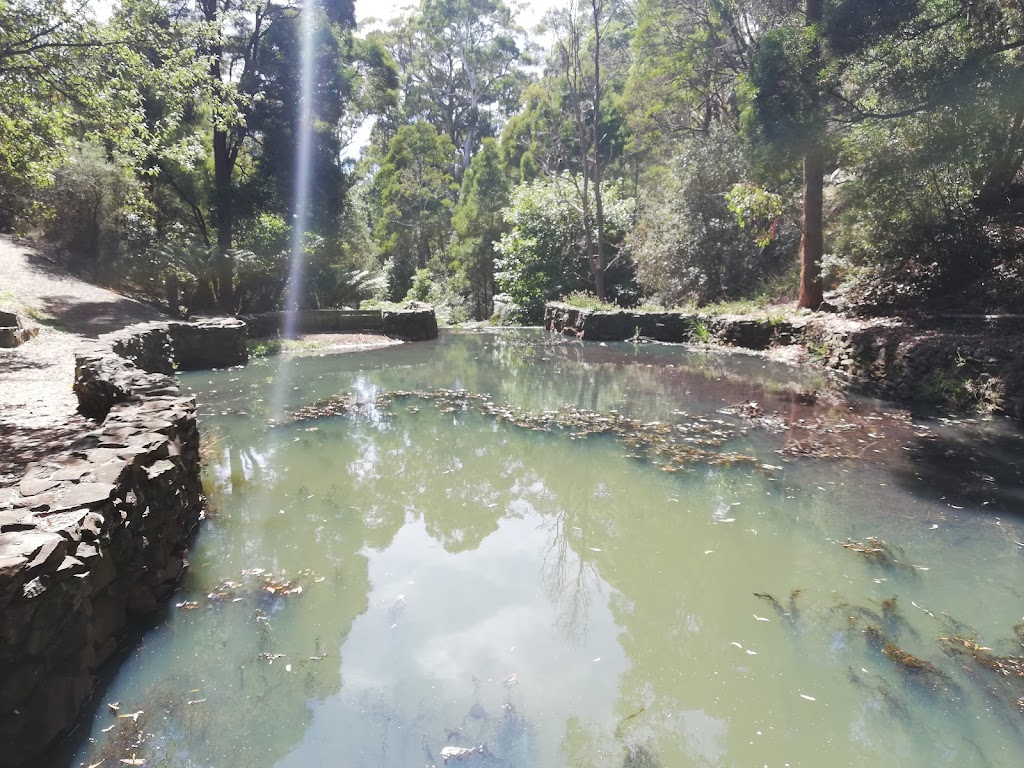 Oldaker Falls | tourist attraction | Maydena Pl, Parklands TAS 7320, Australia | 0364305700 OR +61 3 6430 5700