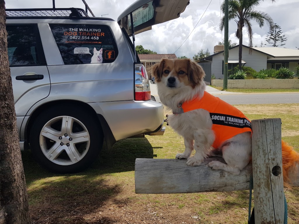 The Walking Dog Trainer |  | Madora Bay Road, Madora Bay WA 6210, Australia | 0422554453 OR +61 422 554 453