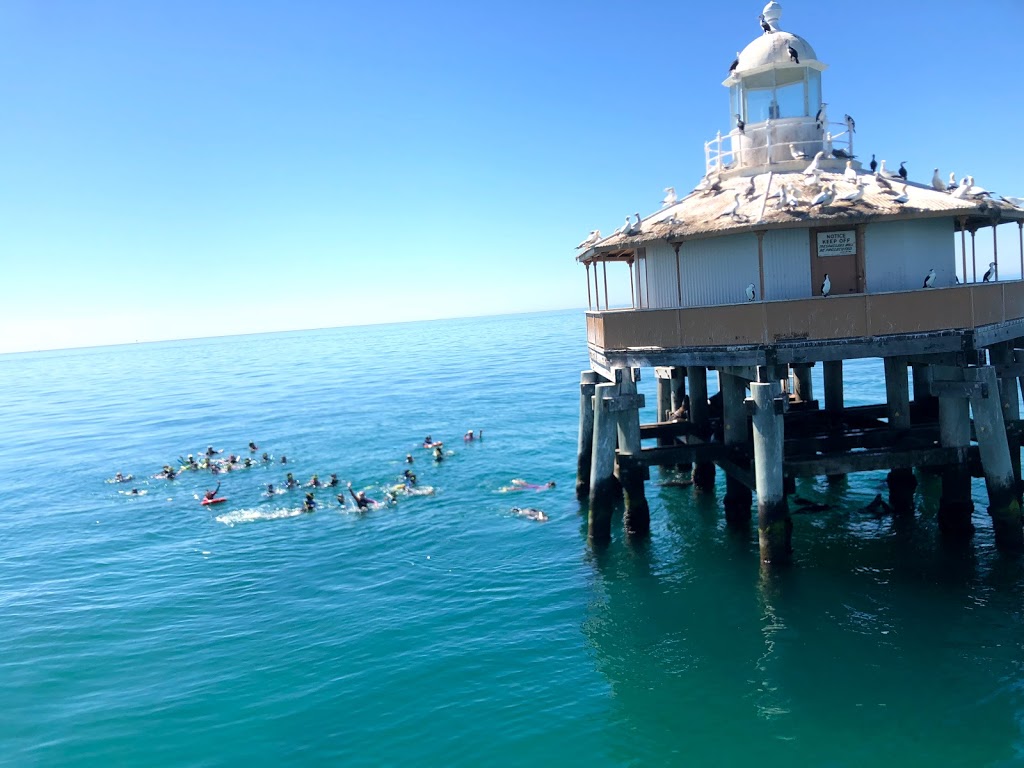 Moonraker Dolphin Swims | travel agency | Esplanade, Sorrento VIC 3943, Australia | 0359844211 OR +61 3 5984 4211