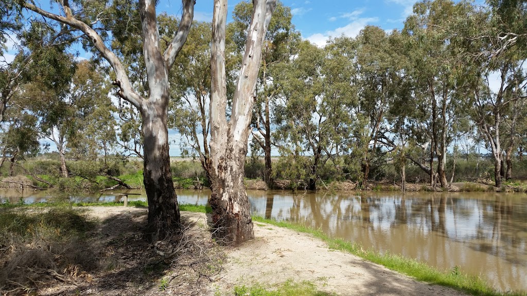 Reedy Lake bird rookery | 132 Pratt Rd, Reedy Lake VIC 3579, Australia