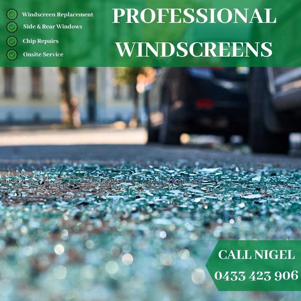 Professional Windscreens | car repair | S Western Hwy, Mount Richon WA 6112, Australia | 0433423906 OR +61 433 423 906