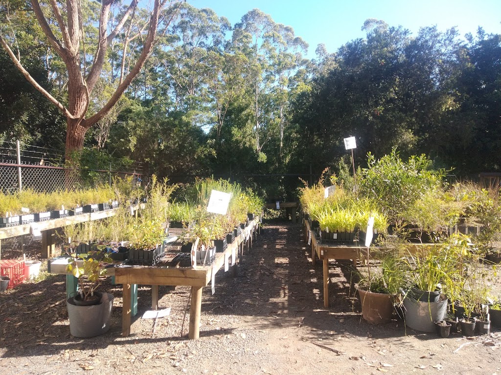 Wildplant Community Nursery |  | Loop Rd, Ourimbah NSW 2258, Australia | 0243494491 OR +61 2 4349 4491