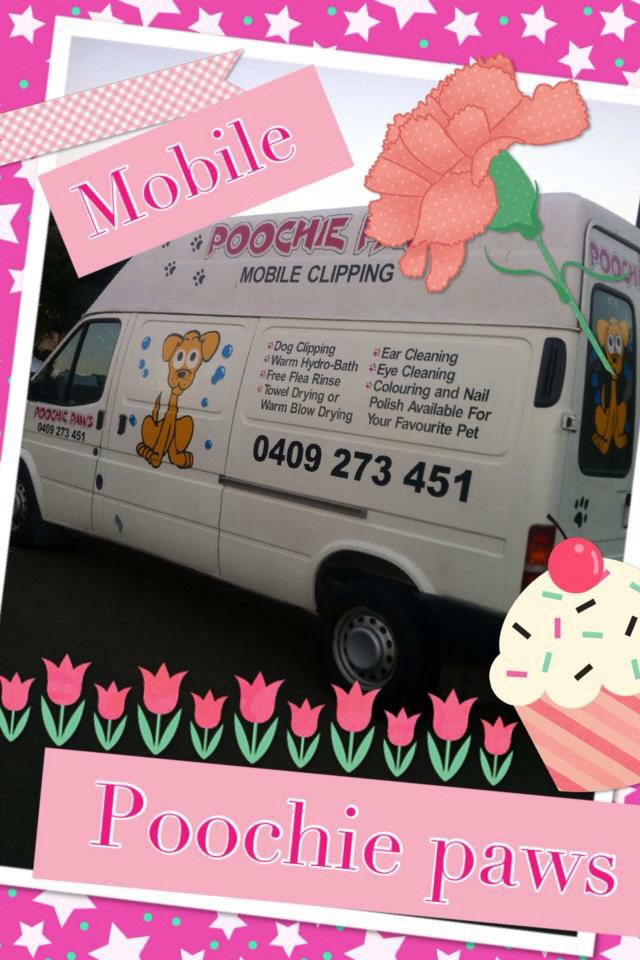 Poochie Paws Mobile Dog Wash | 8 Emily Cres, Point Cook VIC 3030, Australia | Phone: 0409 273 451