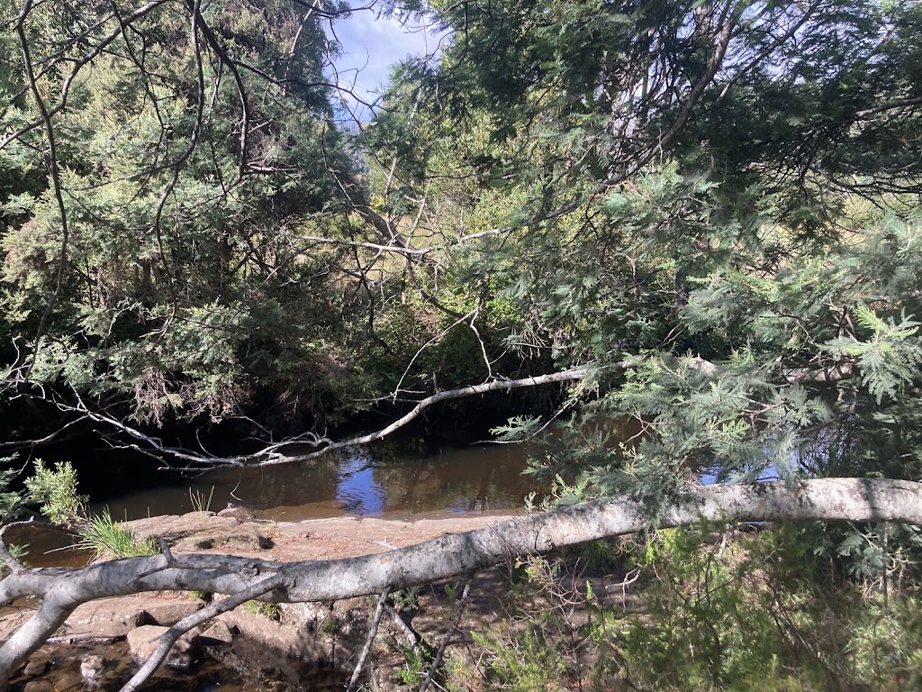 Kermandie Ridge Farm Sanctuary Inc. | 23 Knights Rd, Geeveston TAS 7116, Australia | Phone: 0429 029 012