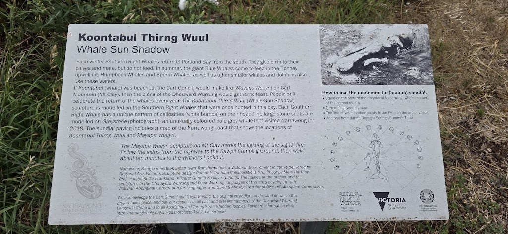 Whale Sun Shadow | Narrawong VIC 3285, Australia | Phone: (08) 8797 8596